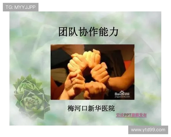 广州乒乓球队在邀请赛中的团队协作表现分析与点评