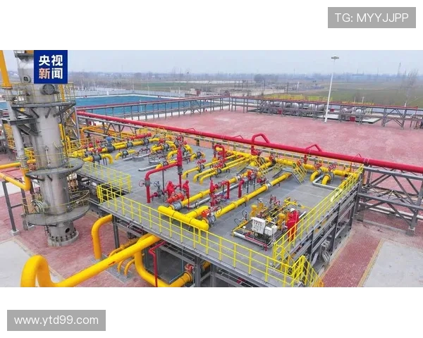 数据分析在液化天然气行业中的个人能力提升与表现研究