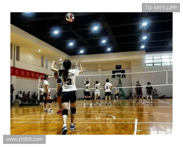 深圳排球队配合默契创新高展现团队实力引领排球新风潮