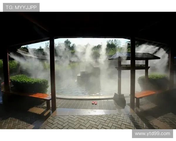 冈山绿雉与温泉的奇妙邂逅探寻自然与人文的完美融合