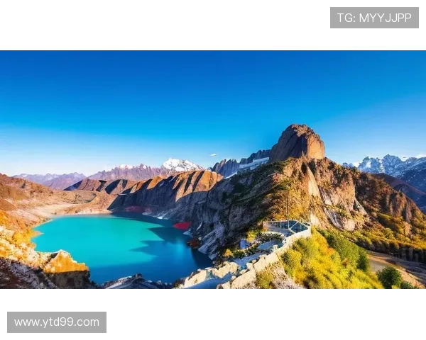 崔永熙：在时代洪流中追寻梦想与坚持的力量