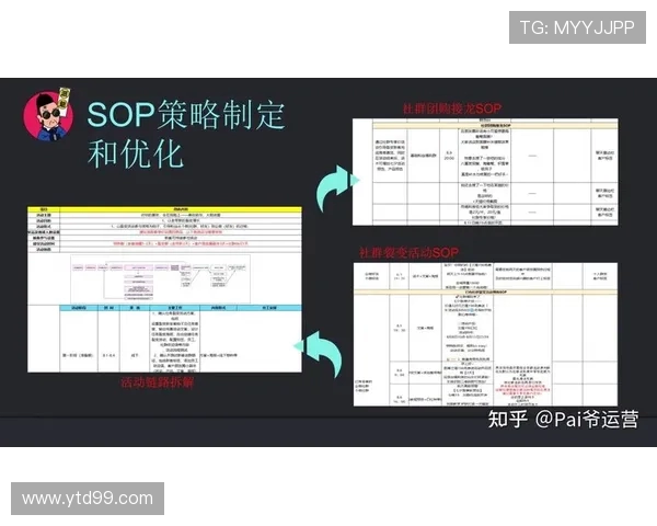 北京排球队战术表现深度数据分析与策略优化探讨